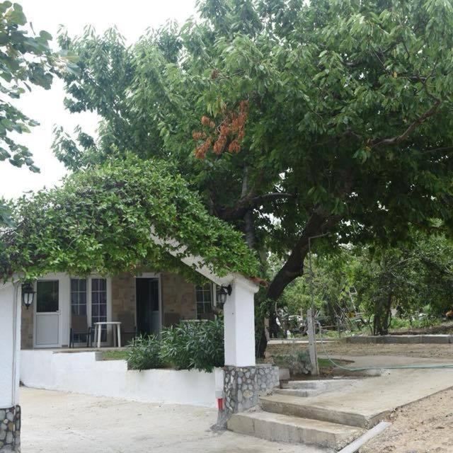 Villa Leonidas Koutsoupia Kókkinon Nerón المظهر الخارجي الصورة